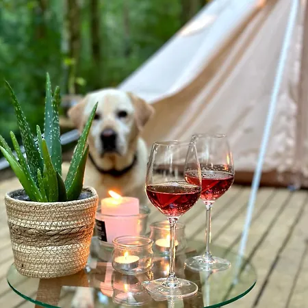 Wild 럭셔리텐트