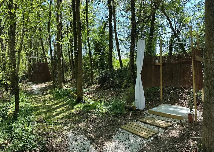 Wild Campo de lujo *