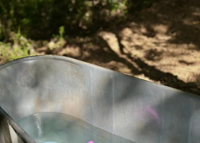 Wild ラグジュアリーテント Lasséran